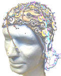 EEG Cap